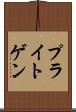 プライトゲン Scroll