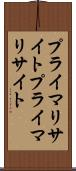 プライマリサイト Scroll