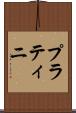 プラティニ Scroll