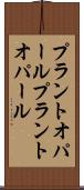 プラントオパール Scroll
