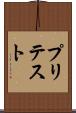 プリテスト Scroll