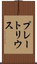 プレートリウス Scroll