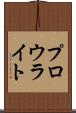 プロウライト Scroll