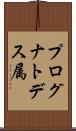 プログナトデス属 Scroll