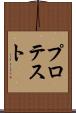 プロテスト Scroll
