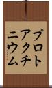 プロトアクチニウム Scroll