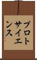 プロトサイエンス Scroll