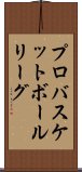 プロバスケットボールリーグ Scroll