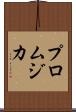 プロムジカ Scroll