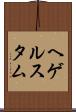 ヘゲルスタム Scroll
