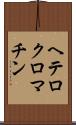 ヘテロクロマチン Scroll
