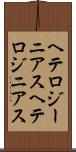 ヘテロジーニアス Scroll