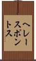 ヘレースポントス Scroll