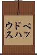 ベッド・ハウス Scroll