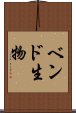 ベンド生物 Scroll