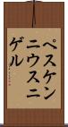 ペスケンニウス・ニゲル Scroll