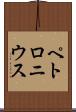 ペトロニウス Scroll