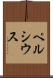 ペルシウス Scroll