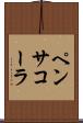 ペンサコーラ Scroll