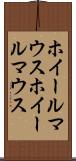 ホイールマウス Scroll