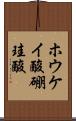 ホウケイ酸 Scroll