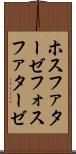 ホスファターゼ Scroll
