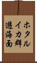 ホタルイカ群遊海面 Scroll