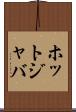 ホットジャバ Scroll