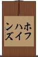 ホフハインズ Scroll
