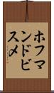 ホフマンドビスメ Scroll