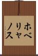ホベリャノス Scroll