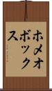 ホメオボックス Scroll