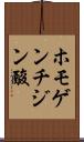ホモゲンチジン酸 Scroll