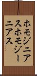 ホモジニアス Scroll