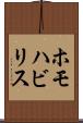 ホモハビリス Scroll