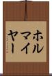 ホルマイヤー Scroll
