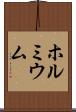 ホルミウム Scroll