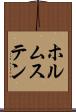 ホルムステン Scroll