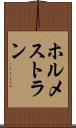ホルメストラン Scroll
