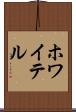ホワイテル Scroll