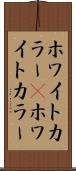 ホワイトカラー(P) Scroll