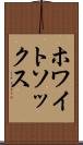 ホワイトソックス Scroll