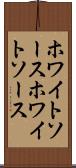 ホワイトソース Scroll