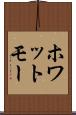 ホワットモー Scroll