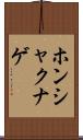ホンシャクナゲ Scroll