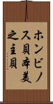 ホンビノス貝 Scroll