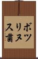 ボツリヌス菌 Scroll