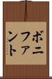 ボニファント Scroll