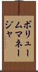 ボリュームマネージャ Scroll