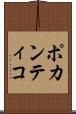 ポカンティコ Scroll